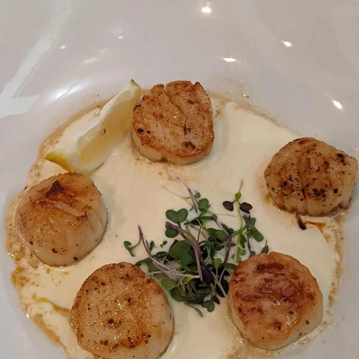 Seared Scallops