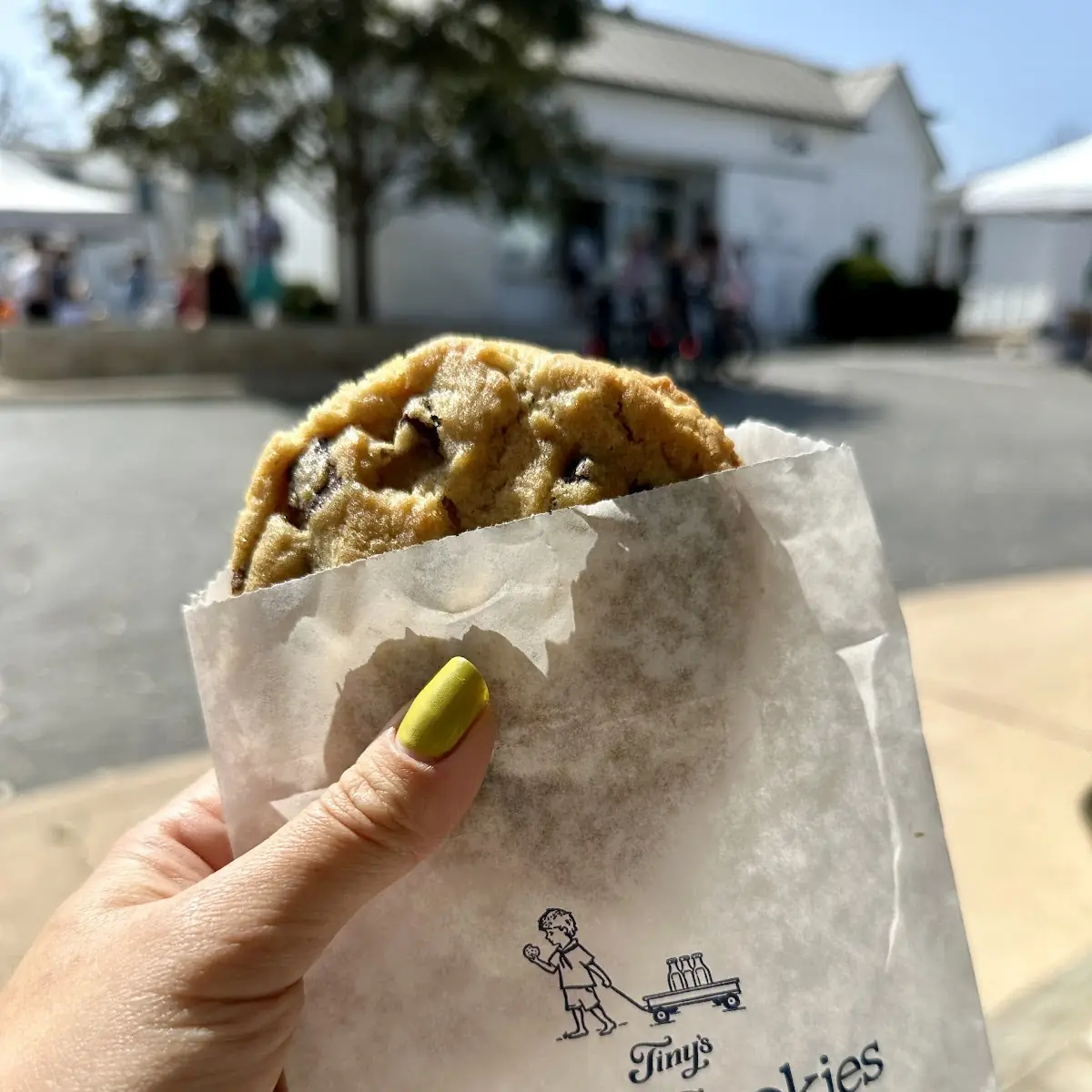 Tinys Chocolate Chip Cookies
