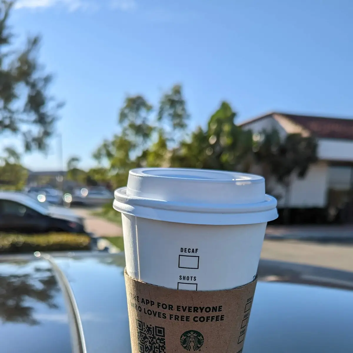 Dark Roast Coffee
