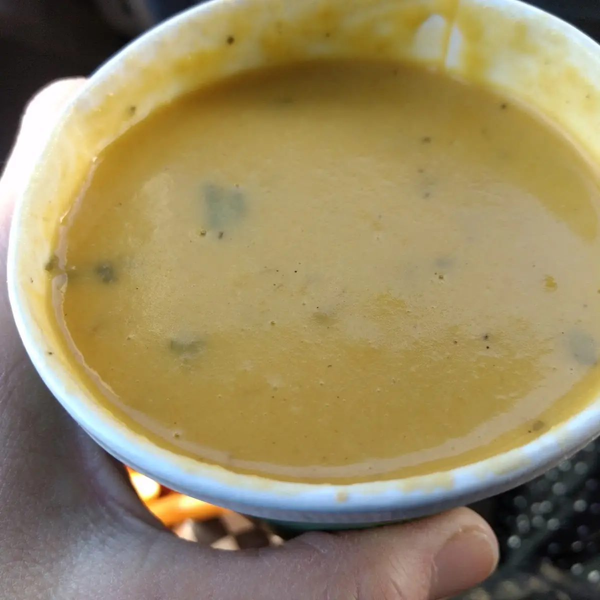 Butternut Squash Soup