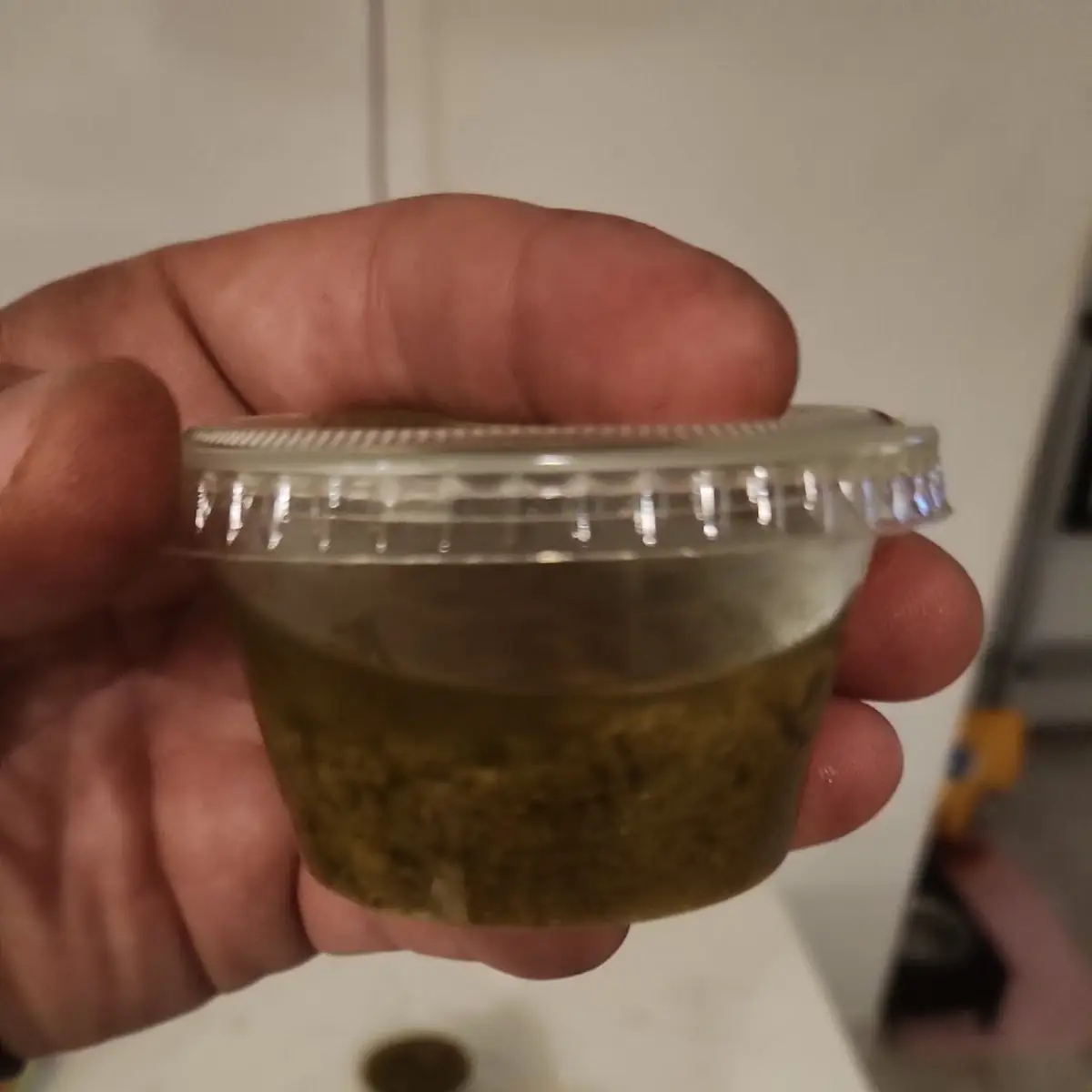Garlic Sauce