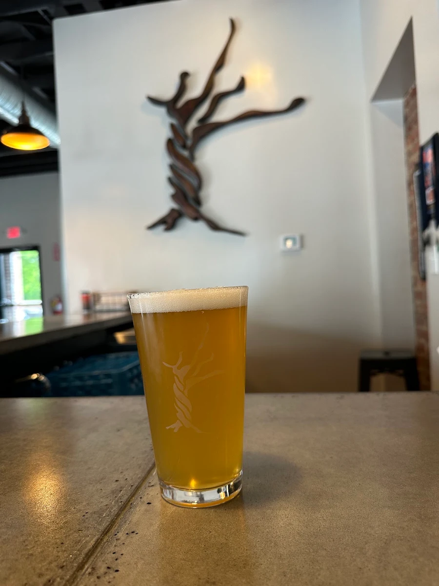Hazy IPA