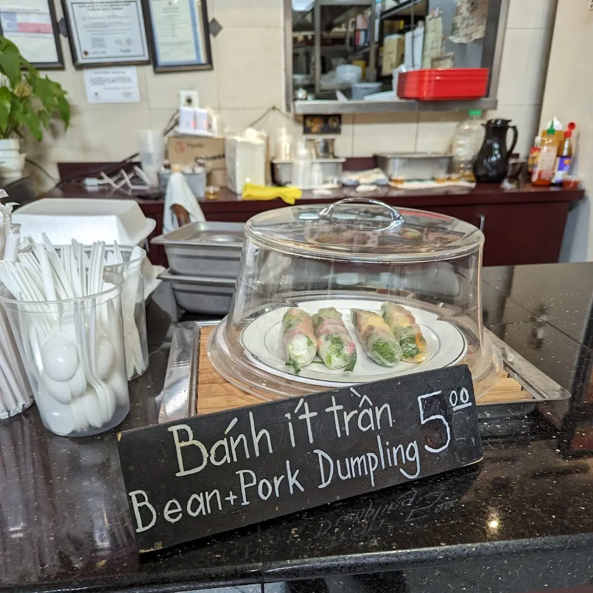 Spring Rolls