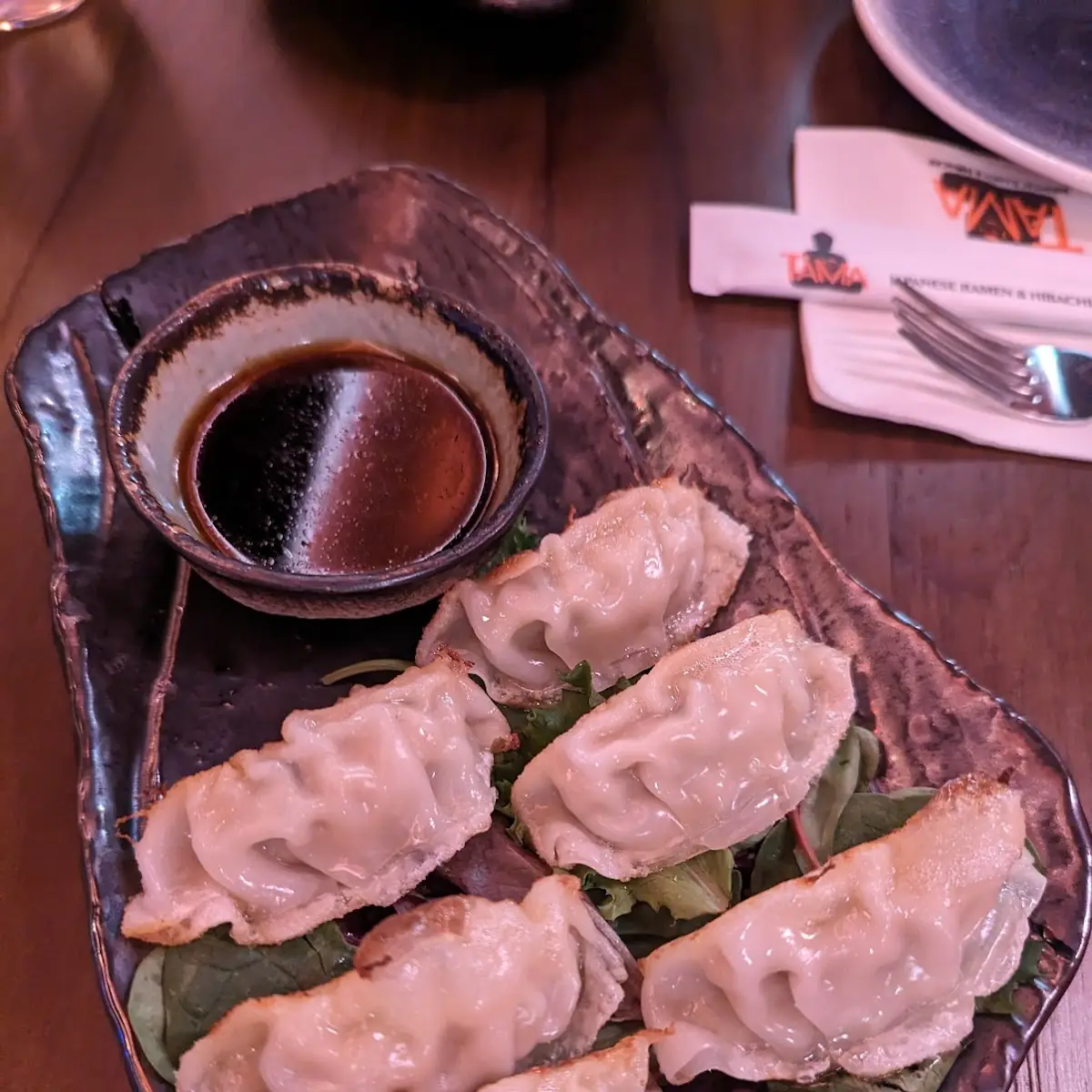 Pan-Fried Pork Dumplings