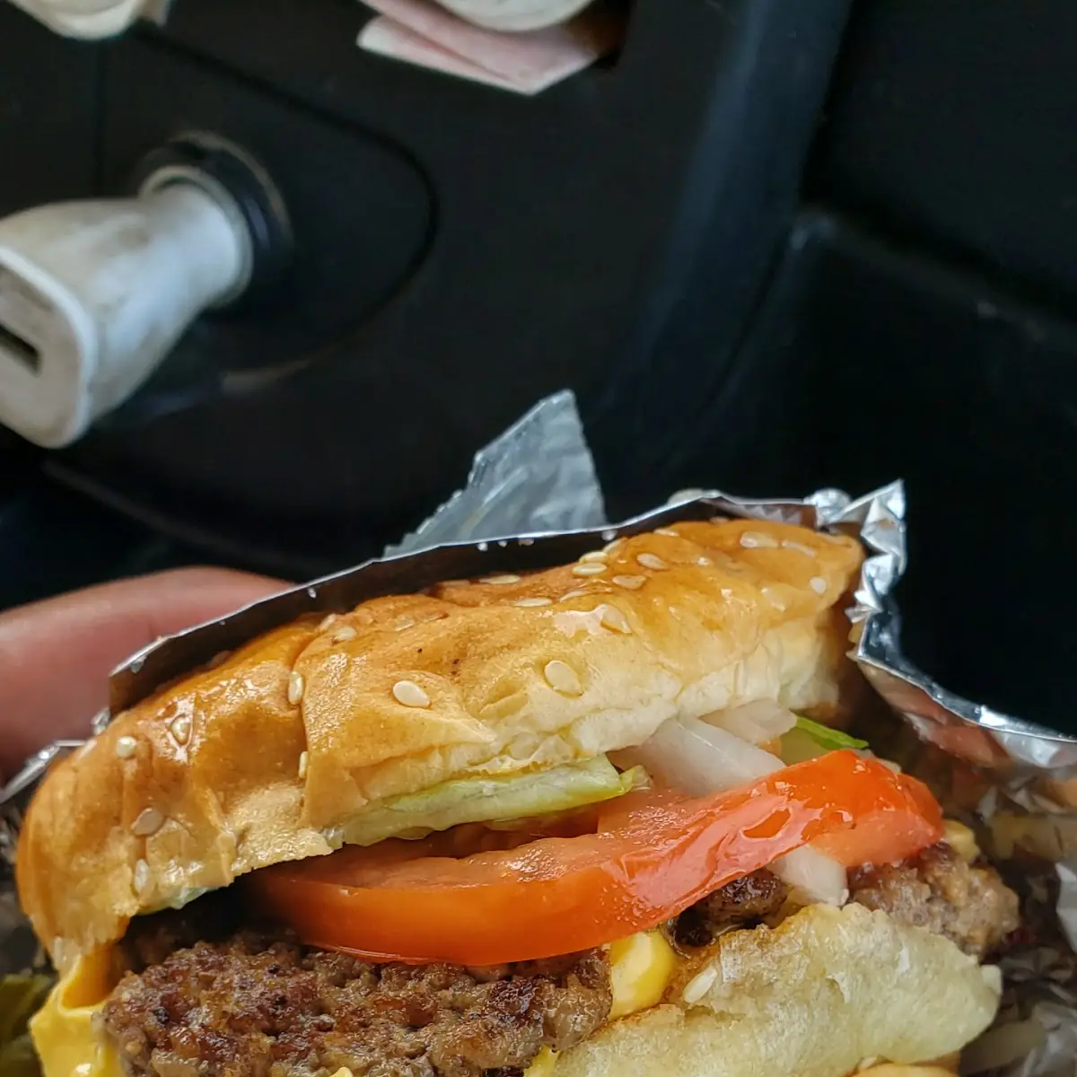 Double Cheeseburger Dressed w Cajun Fries