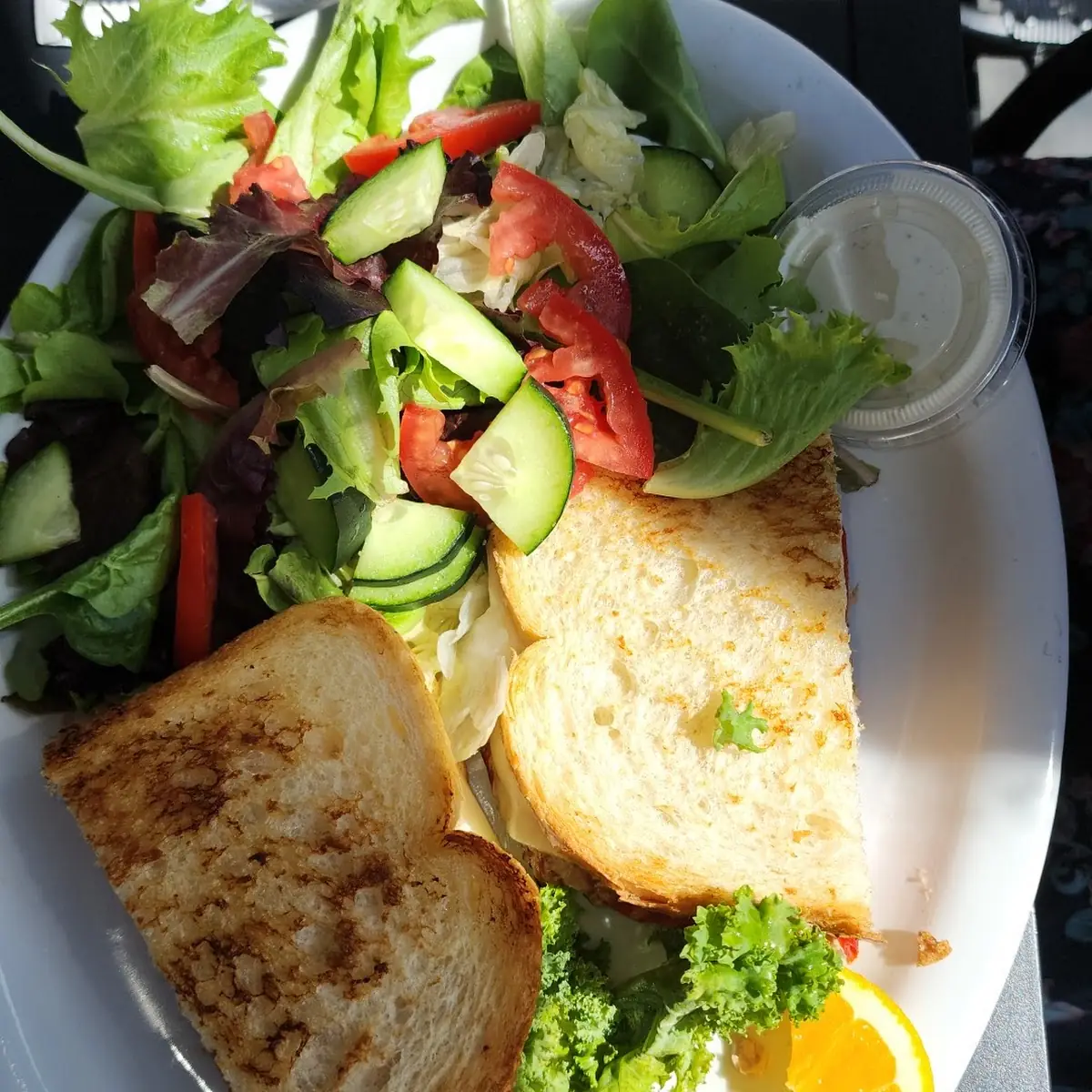 Tuna Melt