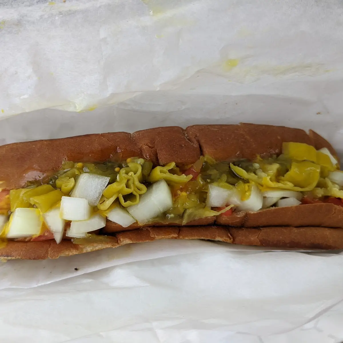Chicago Dog