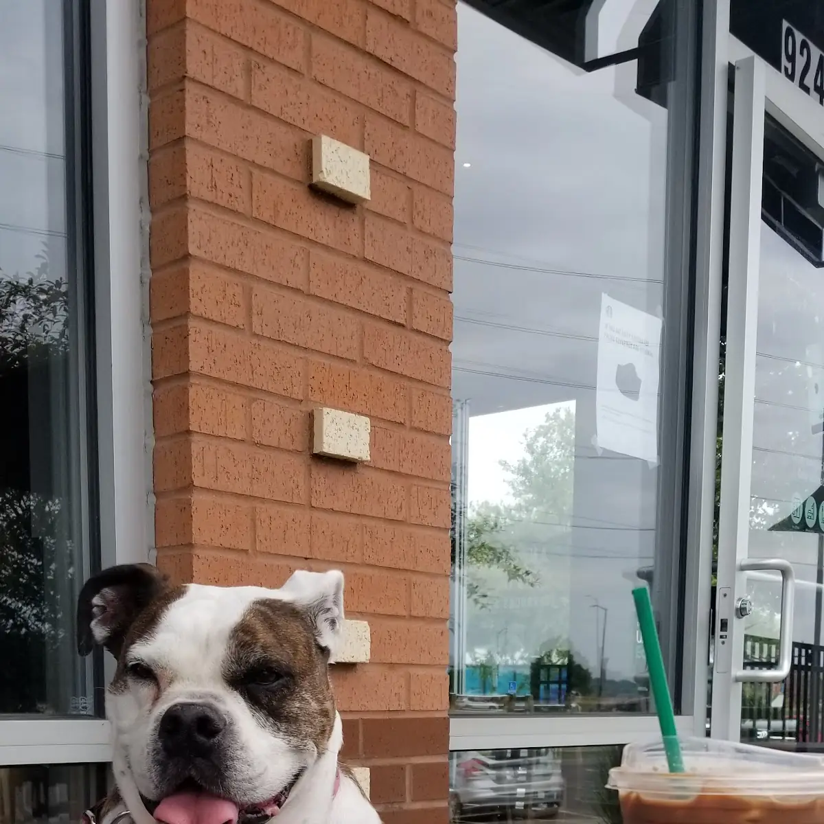 Breakfast Sandwich Coffee Cake & Iced Cafe Mocha