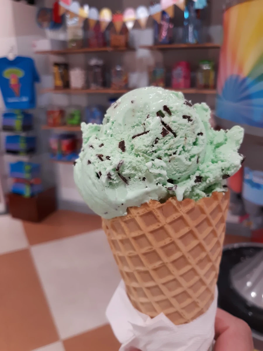 Chocolate Chip