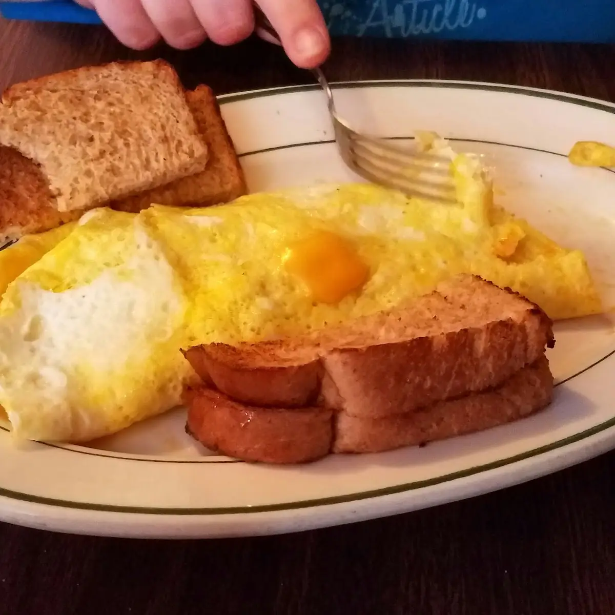 Cheese Omelette