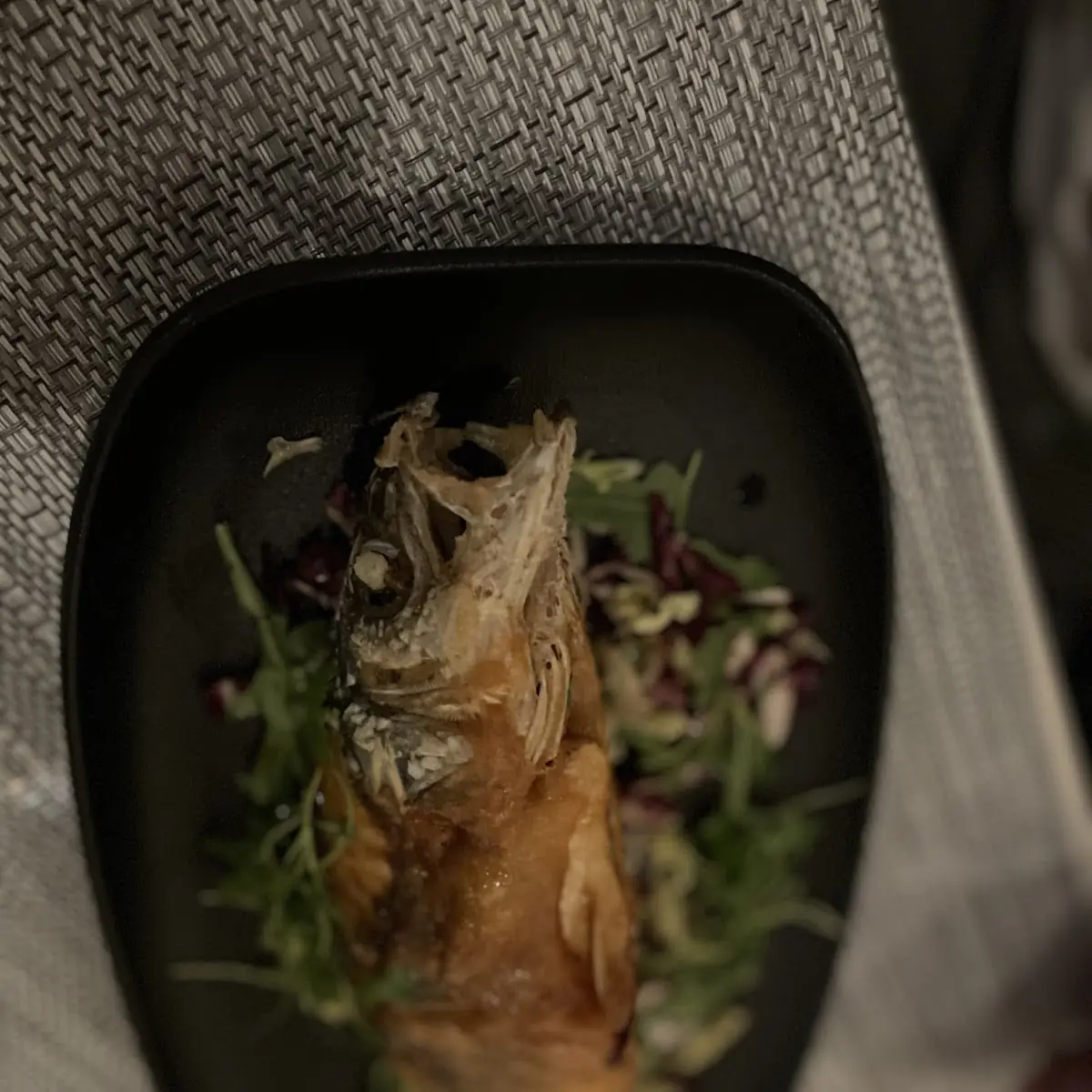Sea Bass