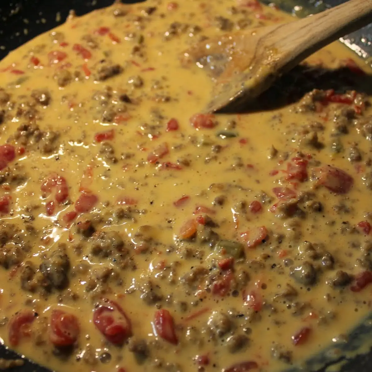 Rotel Cheese Fries