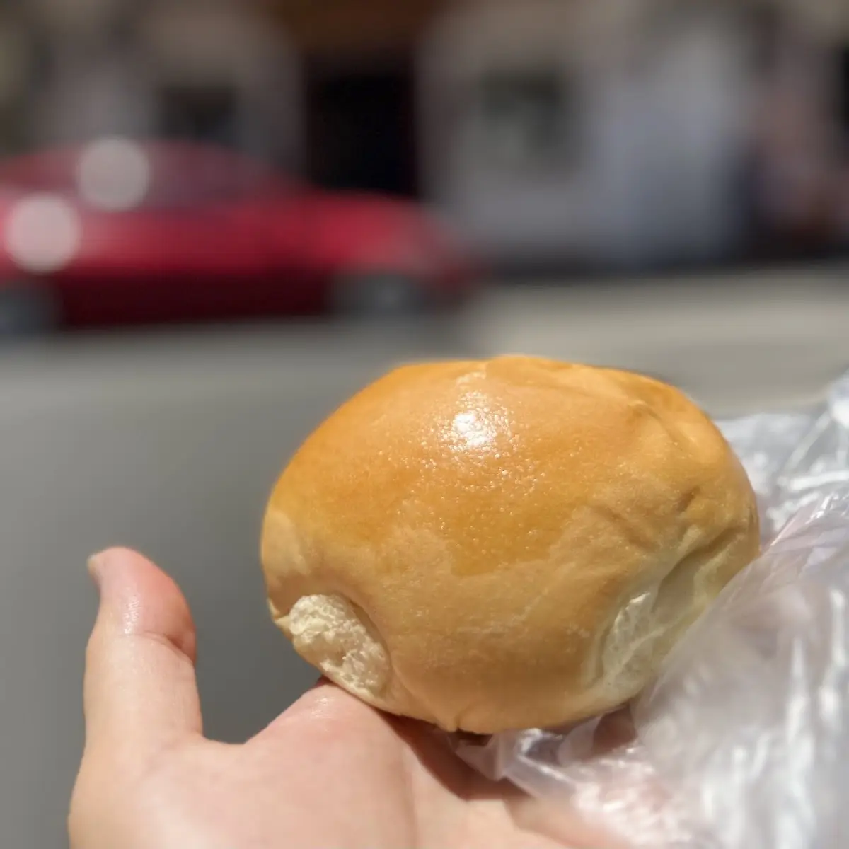 Baked Pork Bun