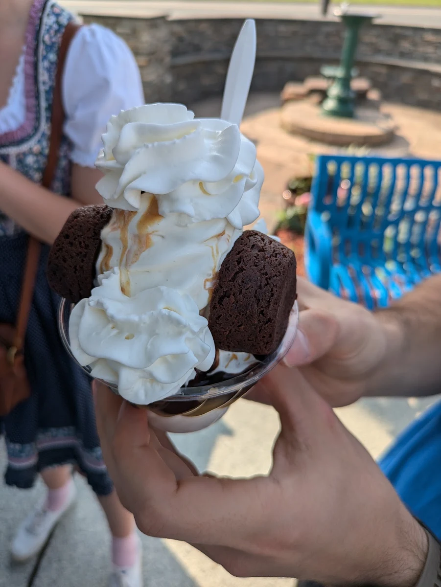 Fudge Brownie