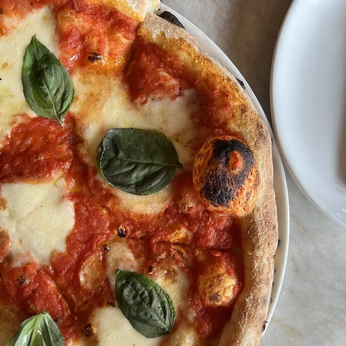 Margherita Pizza