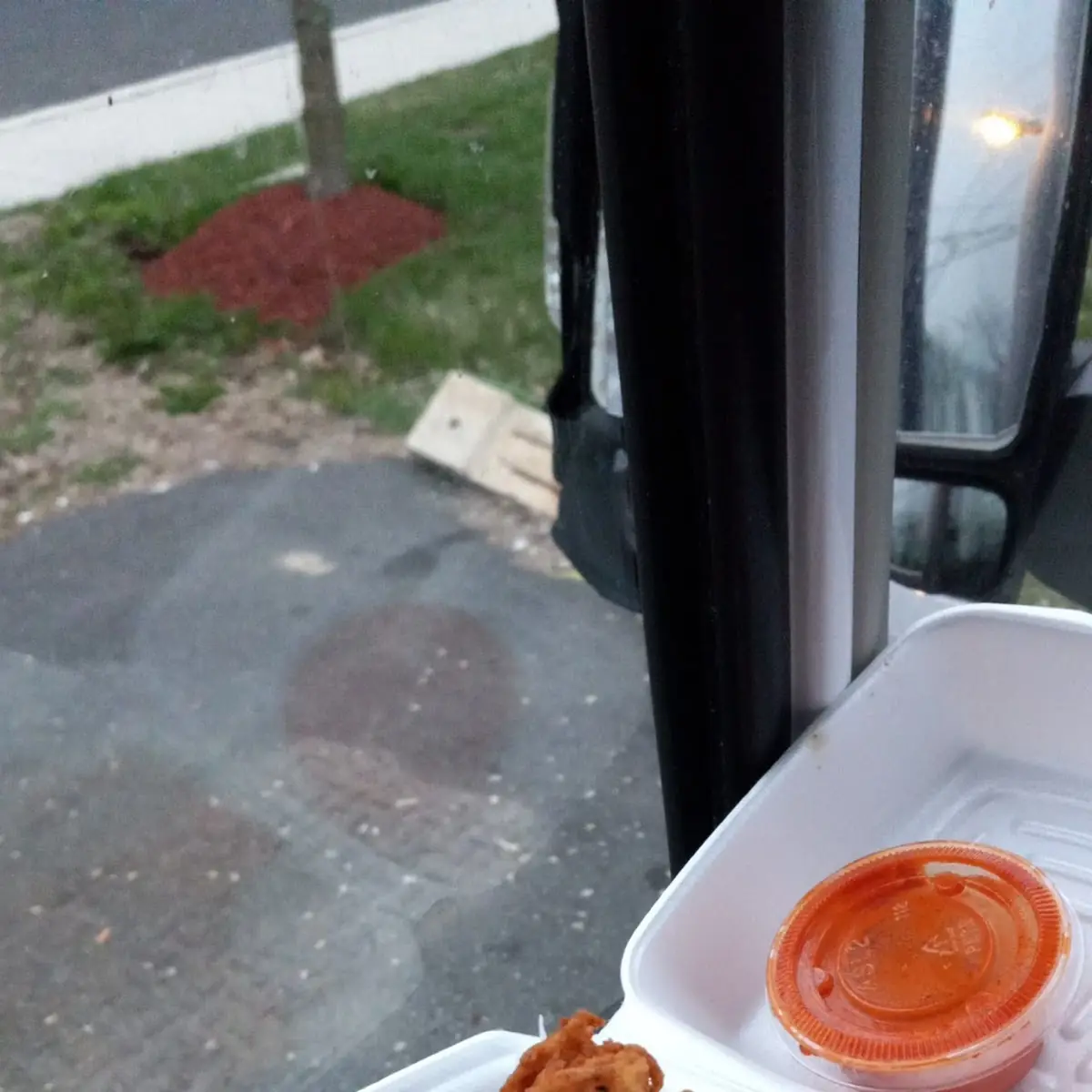 Boneless Wings Dry Sauce on the Side