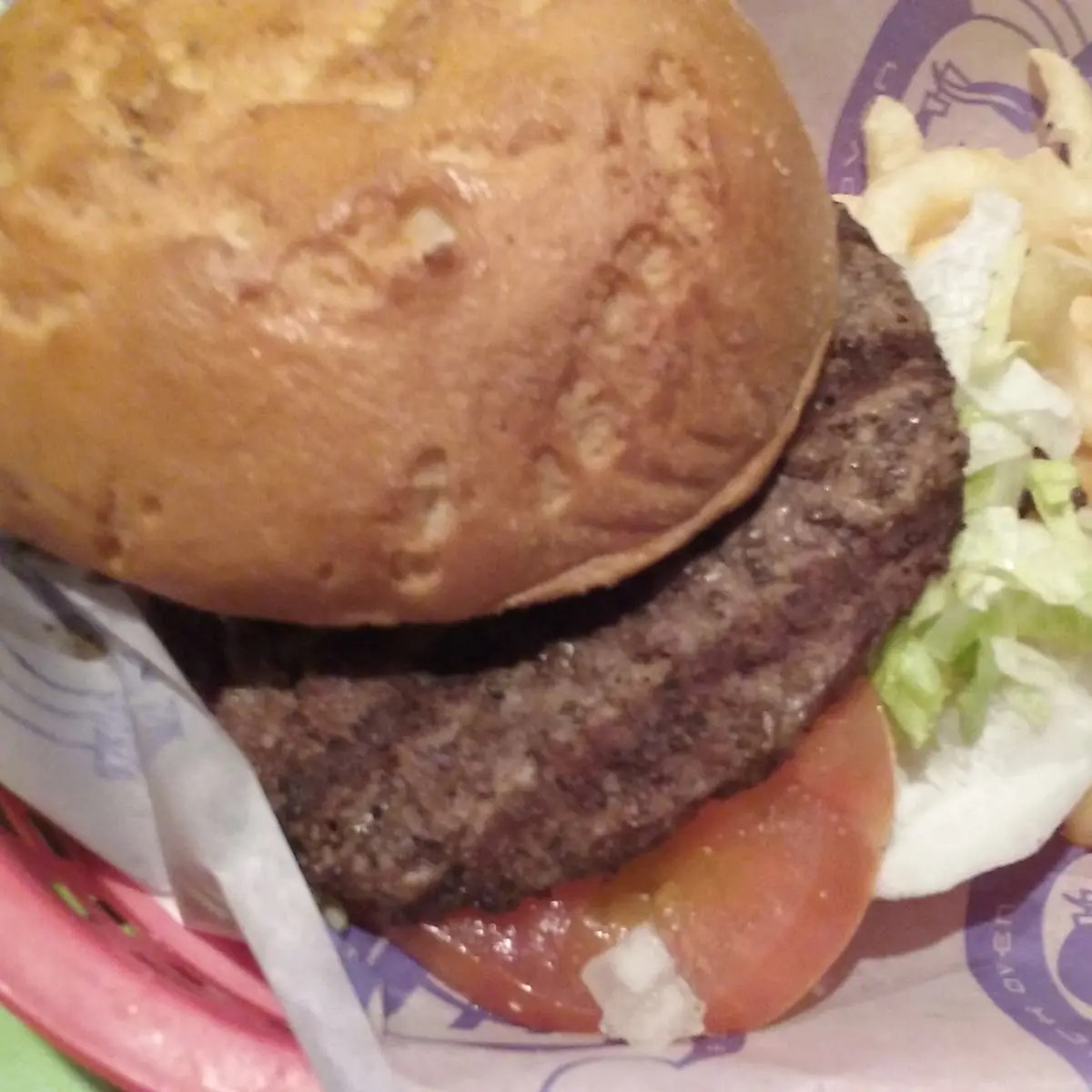 Kids Burger with Curly Fries