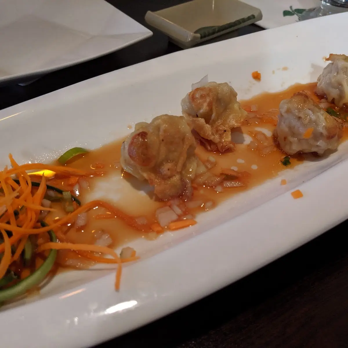 Pan Fried Wontons