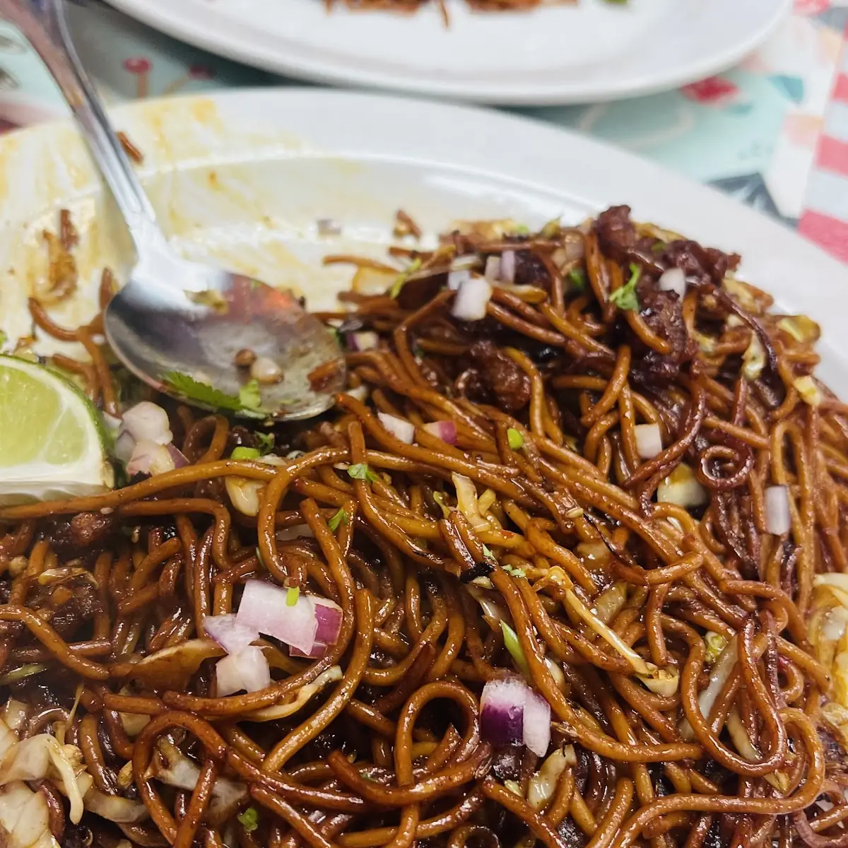 Chicken Chow Mein Noodles