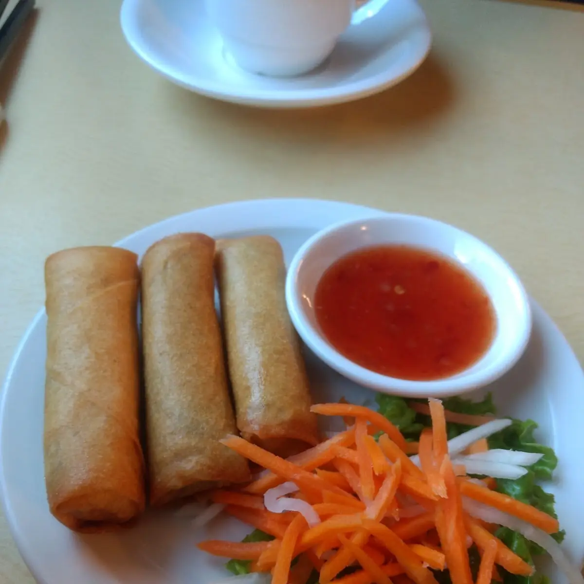 Single Fresh Spring Roll, Vegetarian