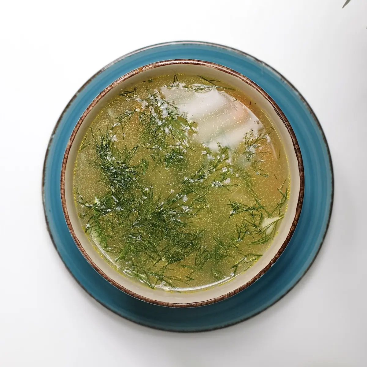 Noodle Chicken Soup