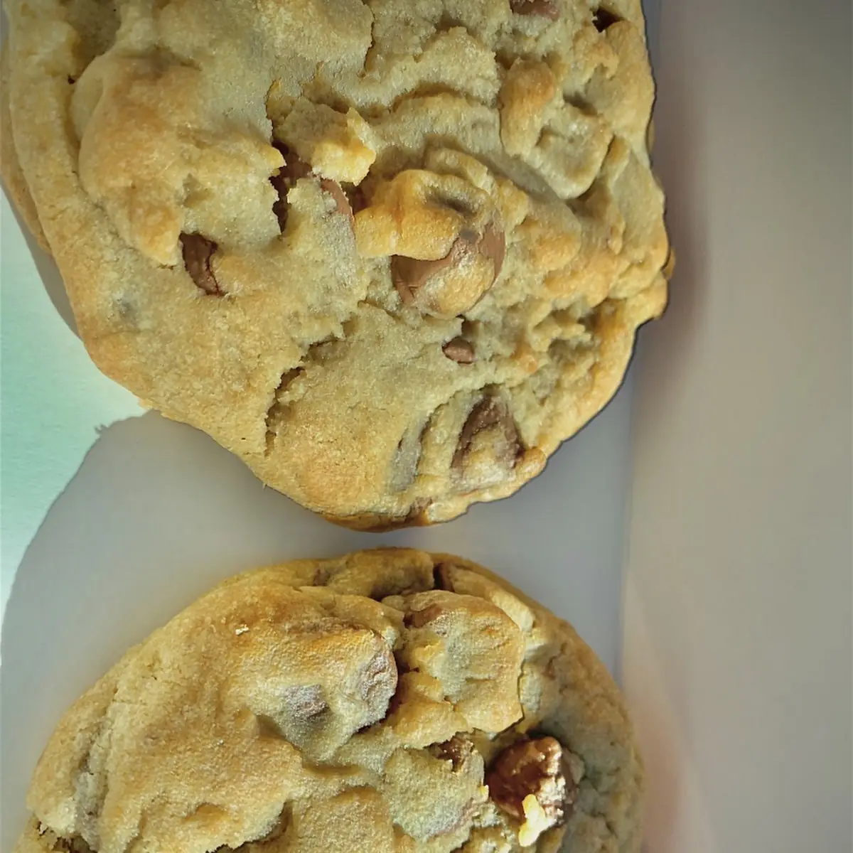 Chocolate Chip Cookie
