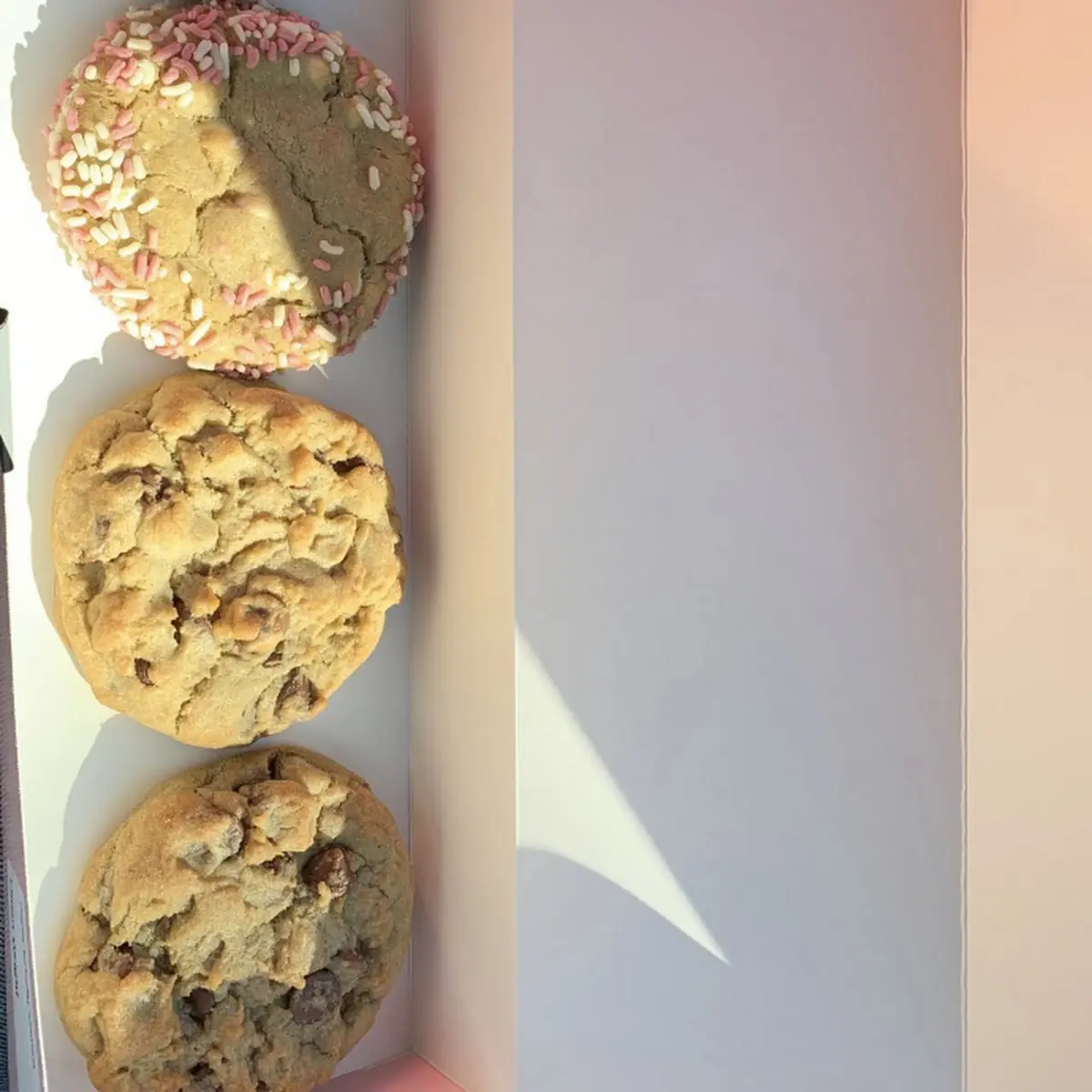 Donut Chocolate Chip