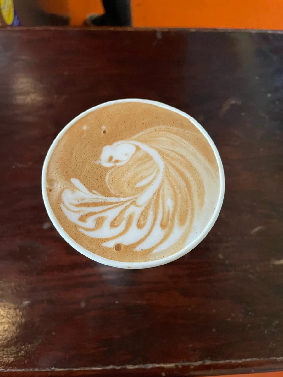 Dark Chocolate Mocha