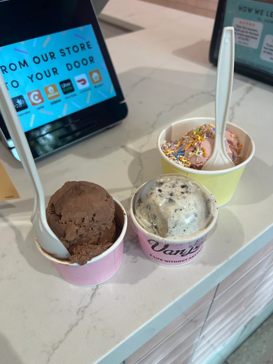 Chocolate Ice Cream