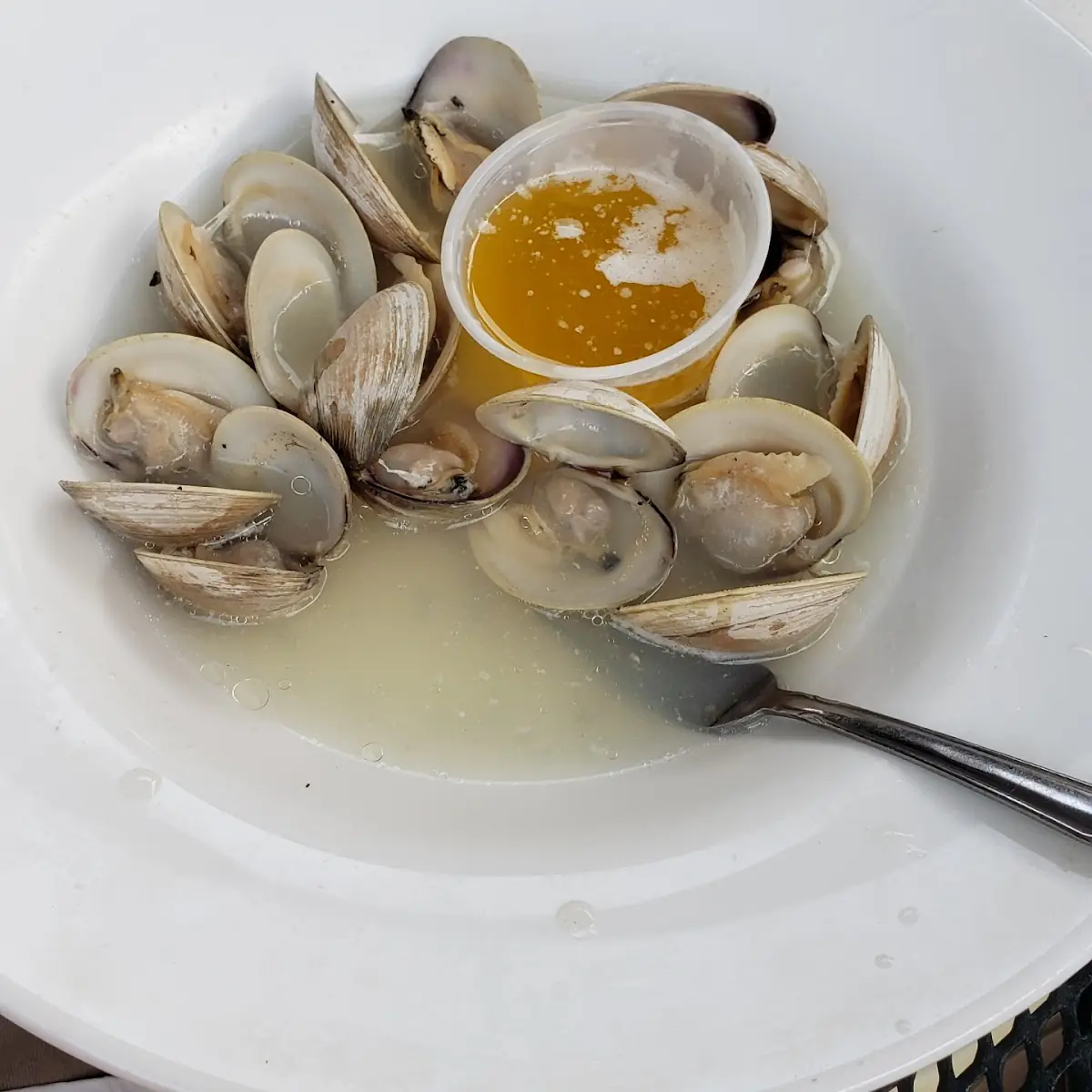 Steamed Clams