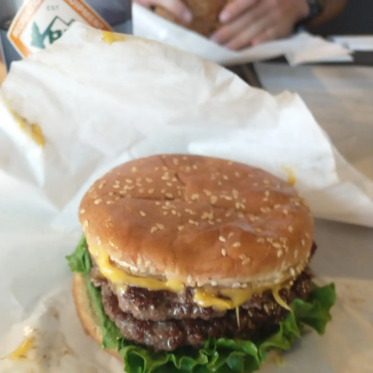 2 3 Pound Double Cheeseburger