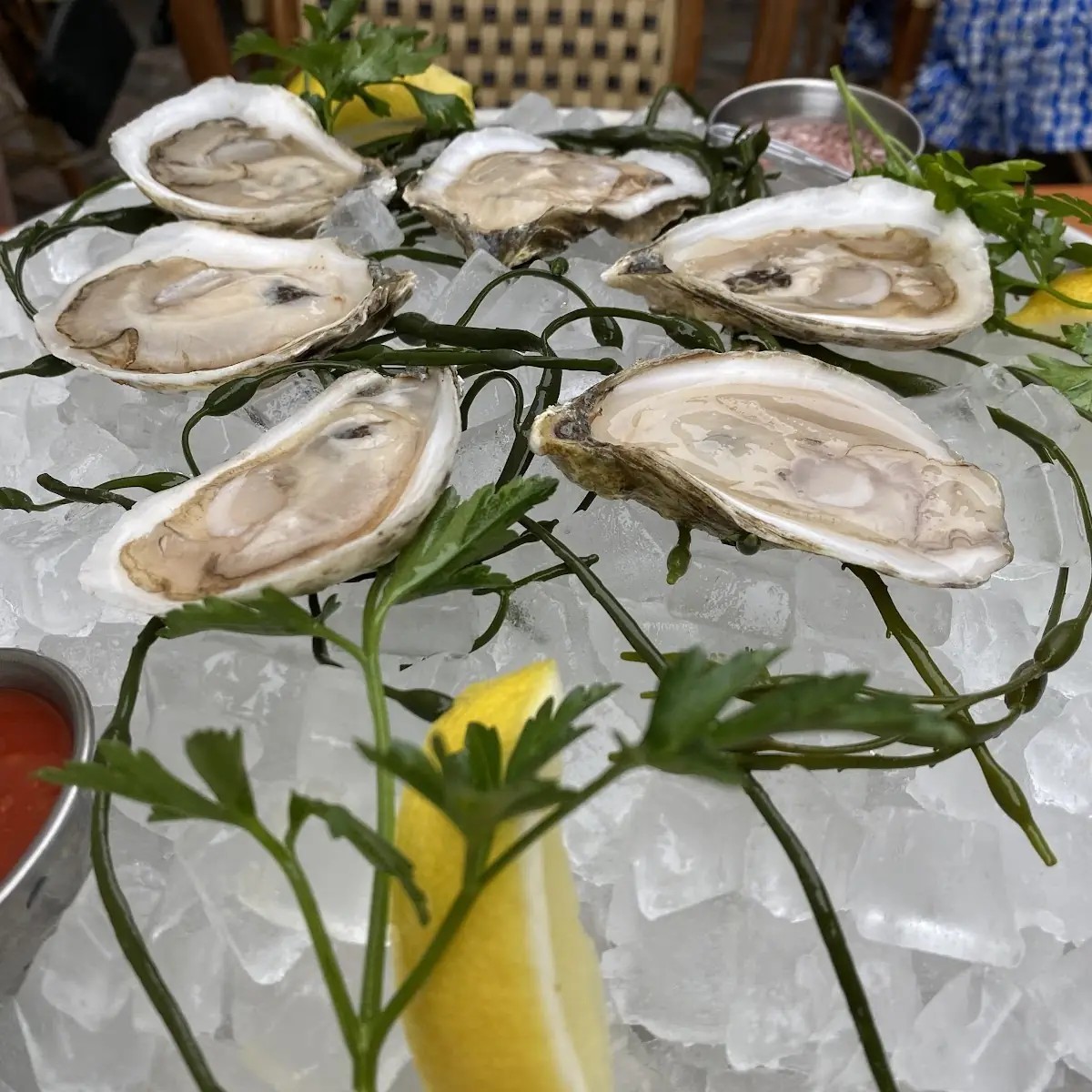 Oysters on the Halfshely