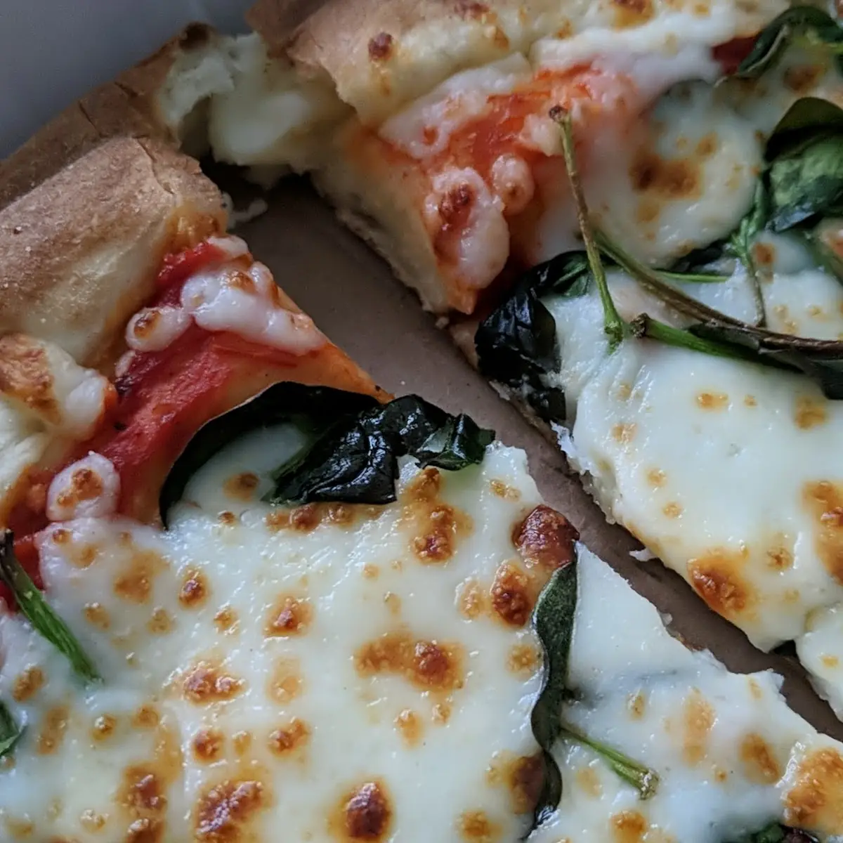 Veg Pizza