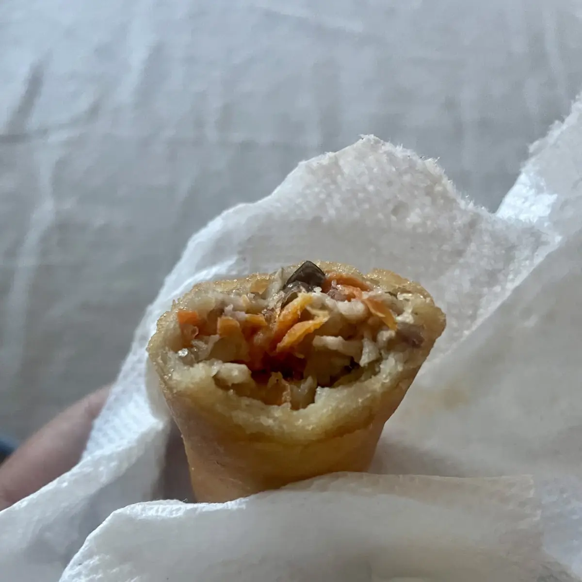 Fried Egg Roll