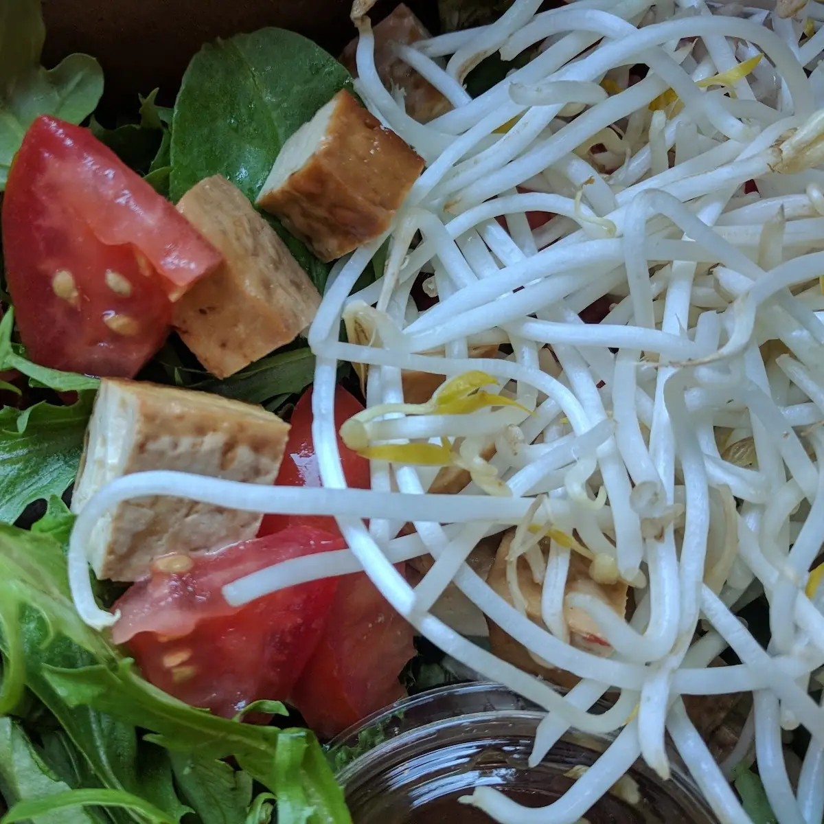 Bean Sprouts on Mixed Greens
