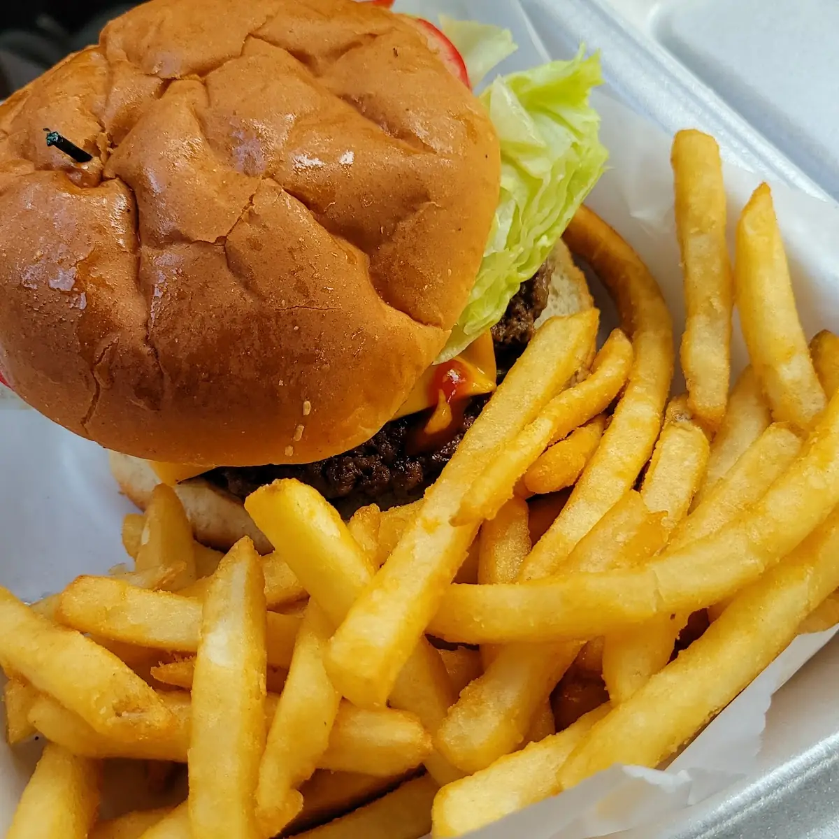 Cheeseburger and Fries