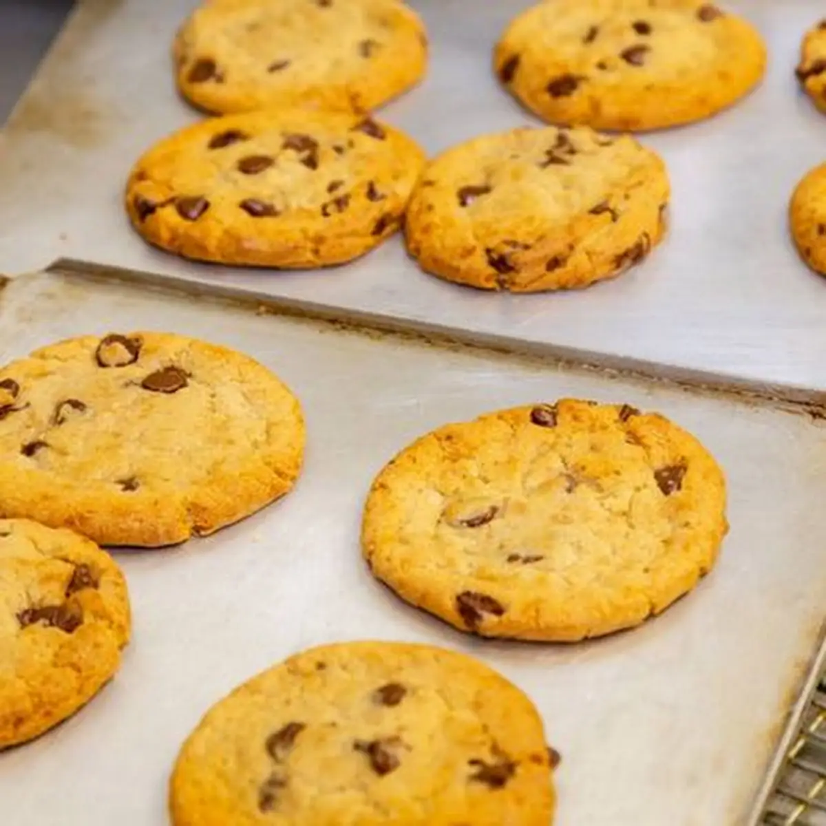 Freshly Baked Cookie