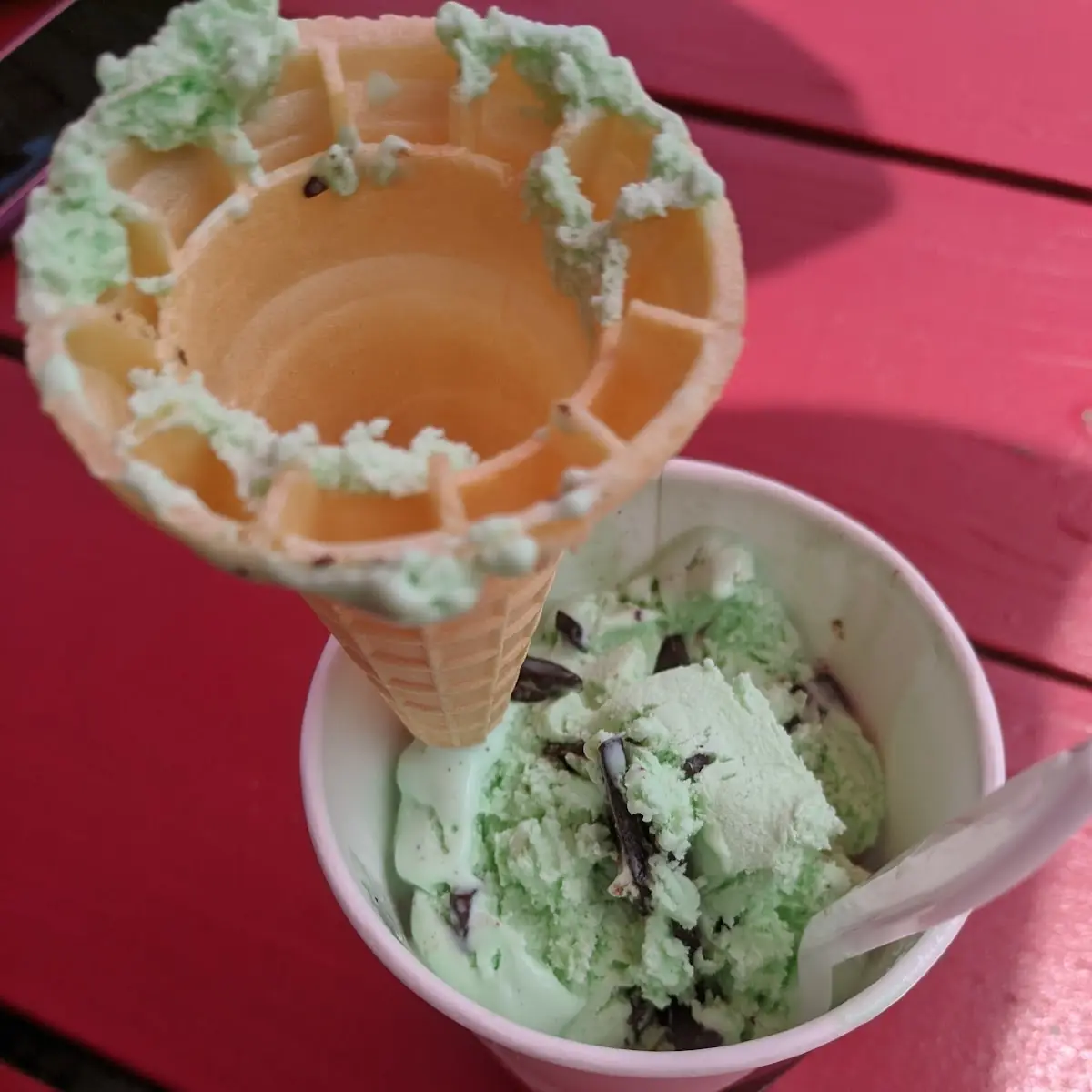 Mint Chocolate Chip Ice-Cream