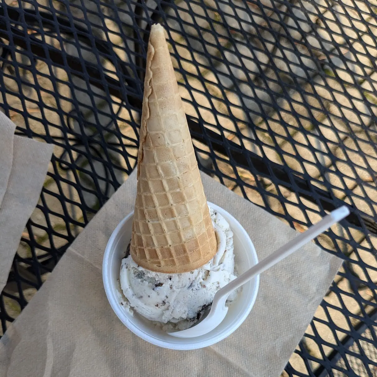 Oreo Ice-Cream with Sugar Cone