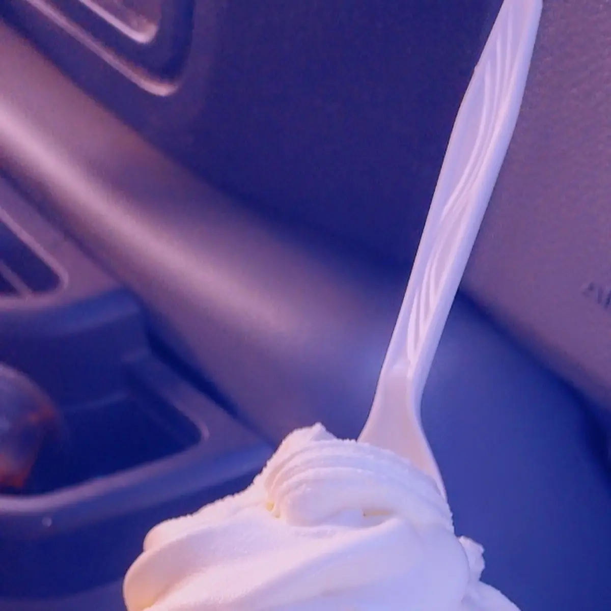 Vanilla Ice Cream