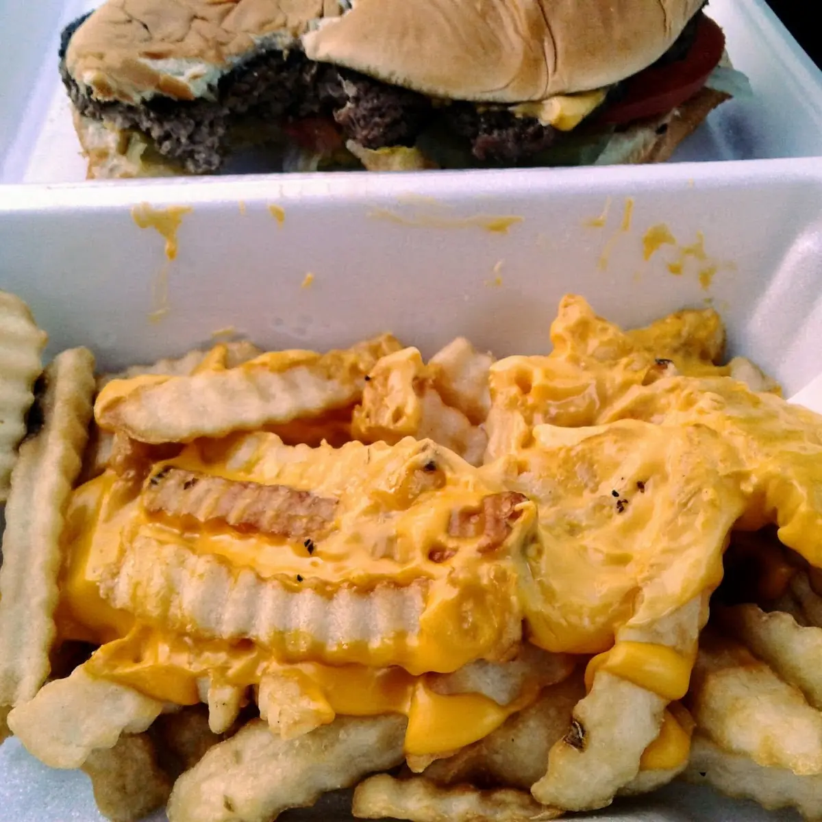 Cheese Burger with Cheese Fries