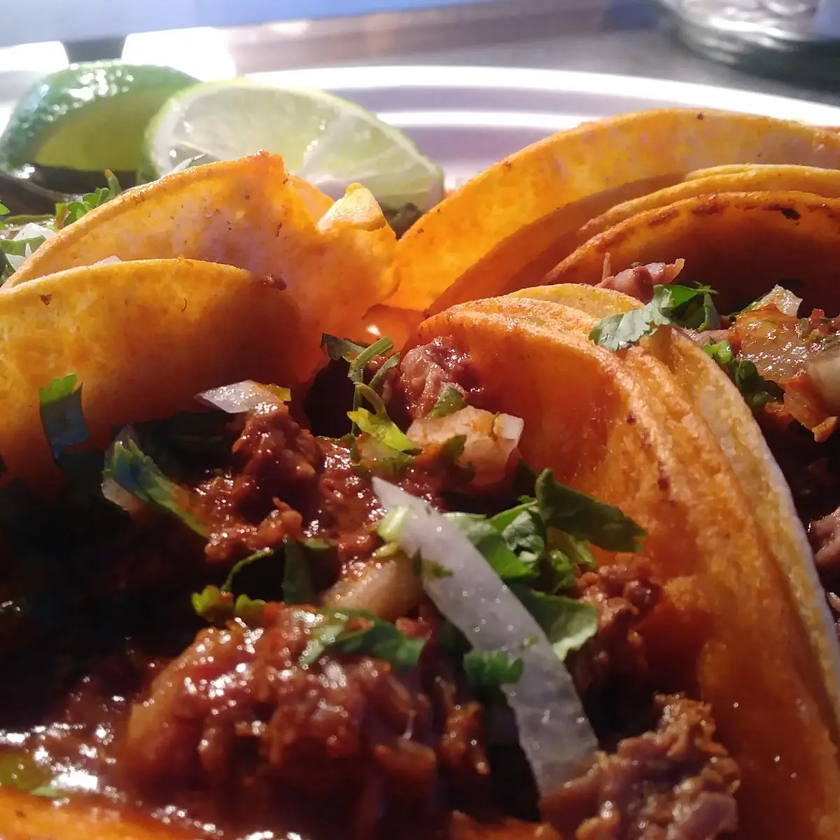 Birria Tacos