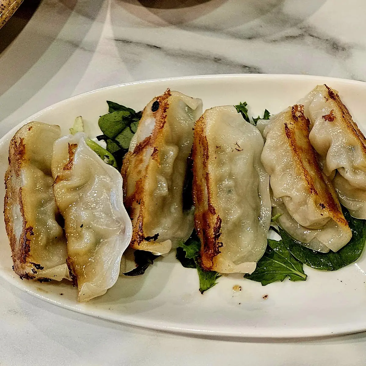 Pork Gyoza