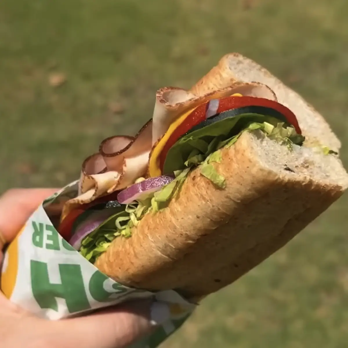 Veggie Delite