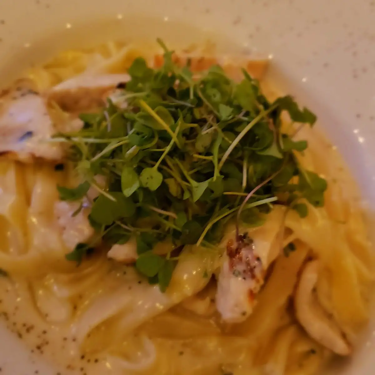 Chicken Alfredo Pasta