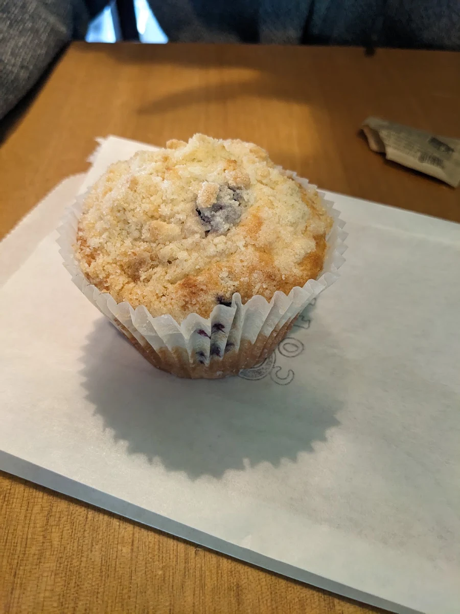 Blueberry Muffin