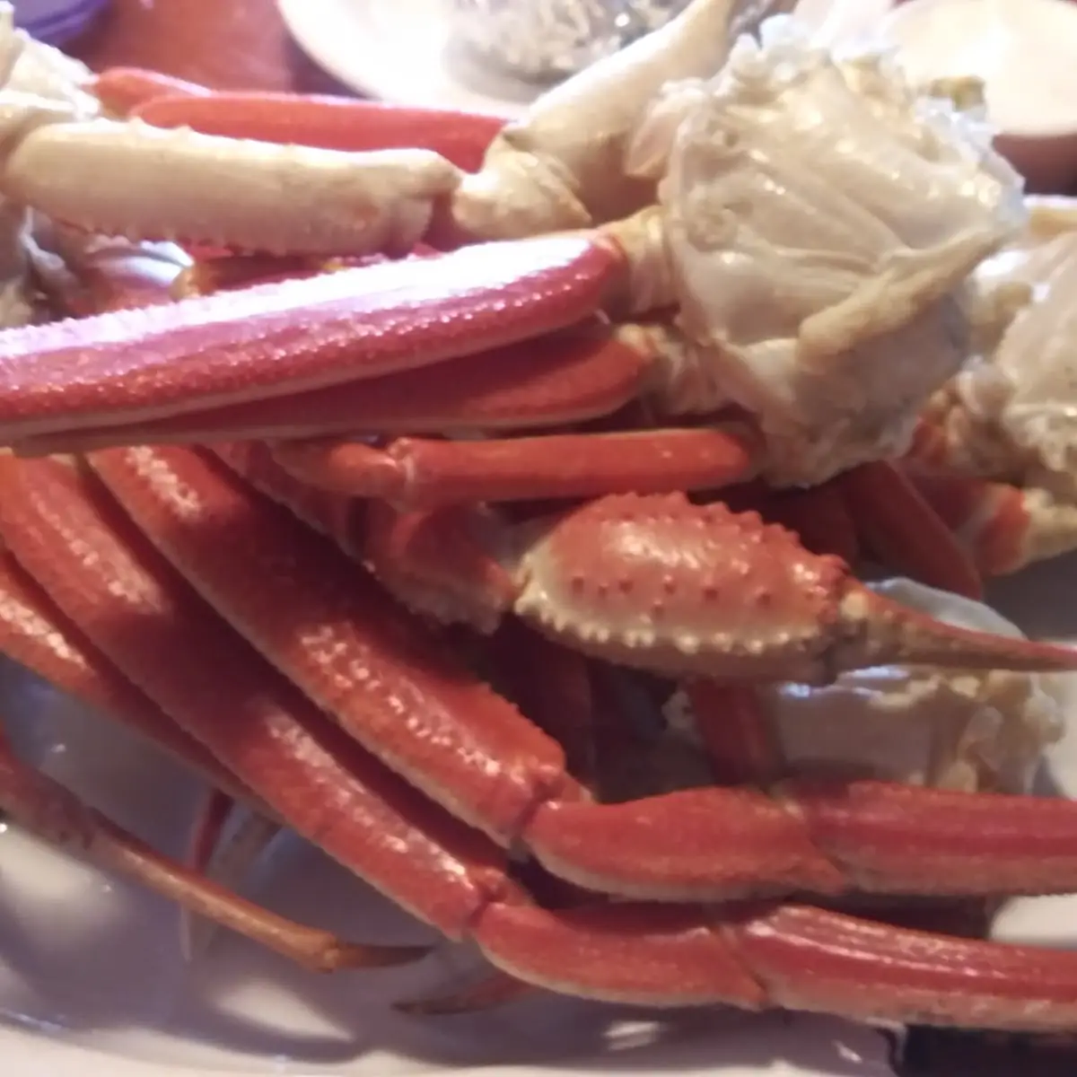 Alaskan Snow Crab