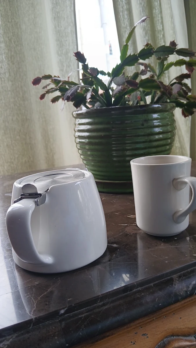 Jasmine Tea