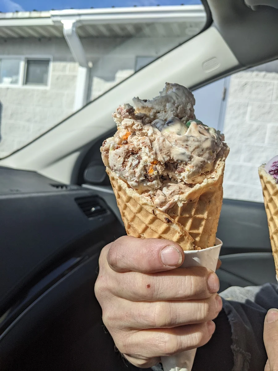 Blueberry Ice Cream Waffle Cone