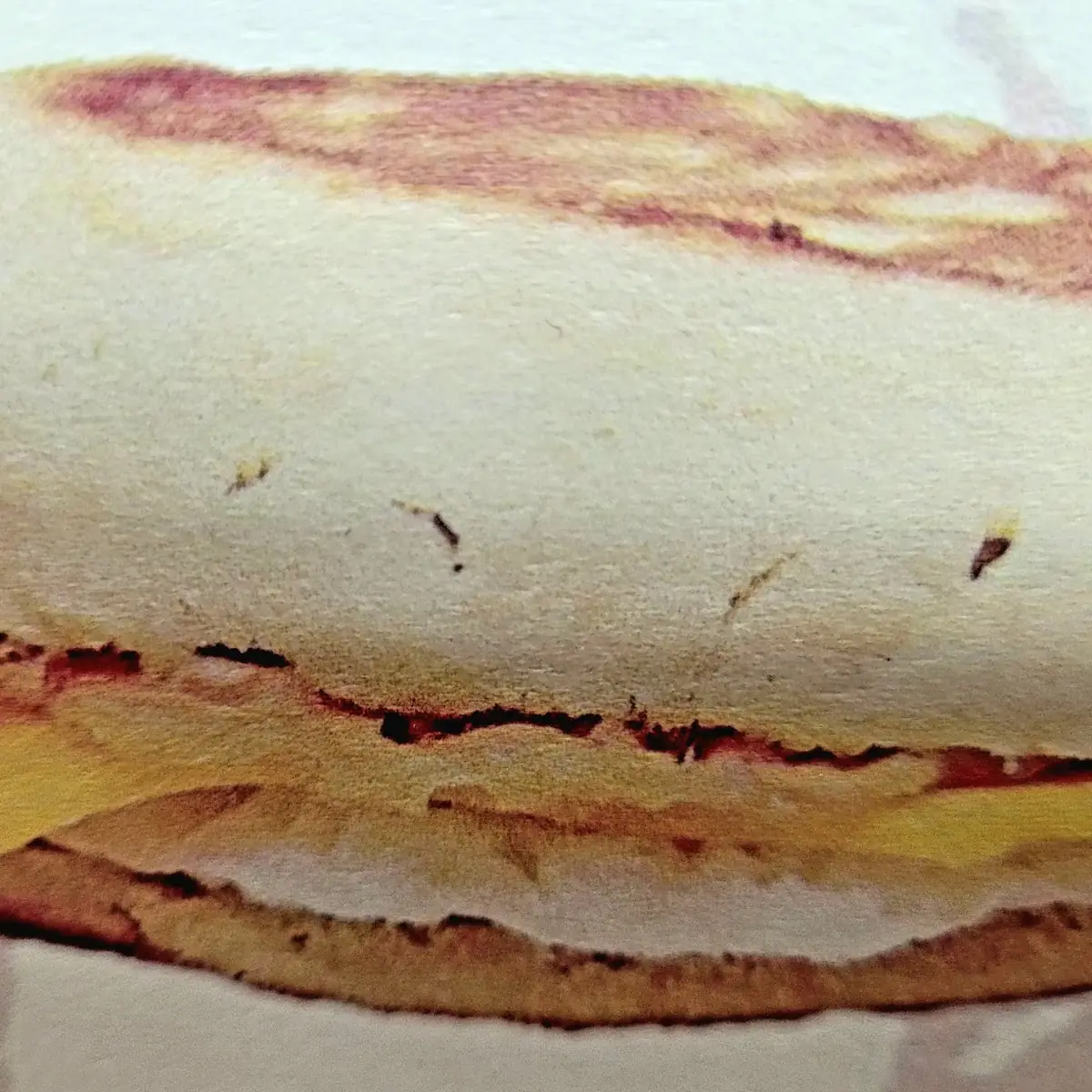 Bacon English Muffin Sandwich
